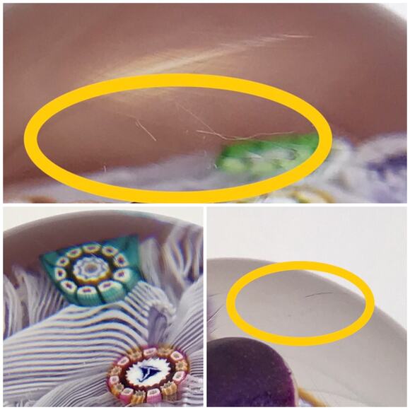 Perthshire PP47 1985 Millefiori Picture Cane Cat Bird Amethyst Paperweight Cert - Picture 13 of 16